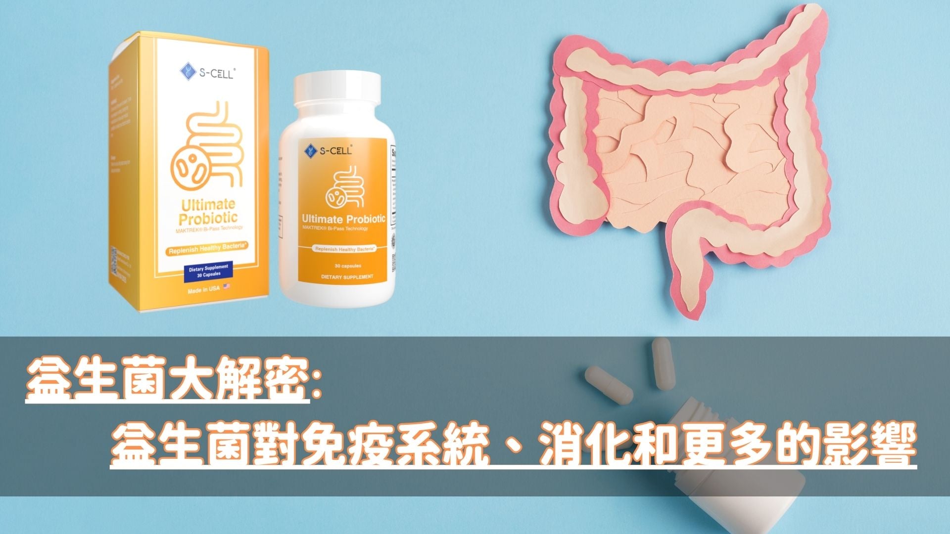益生菌大解密:益生菌對免疫系統、消化和更多的影響