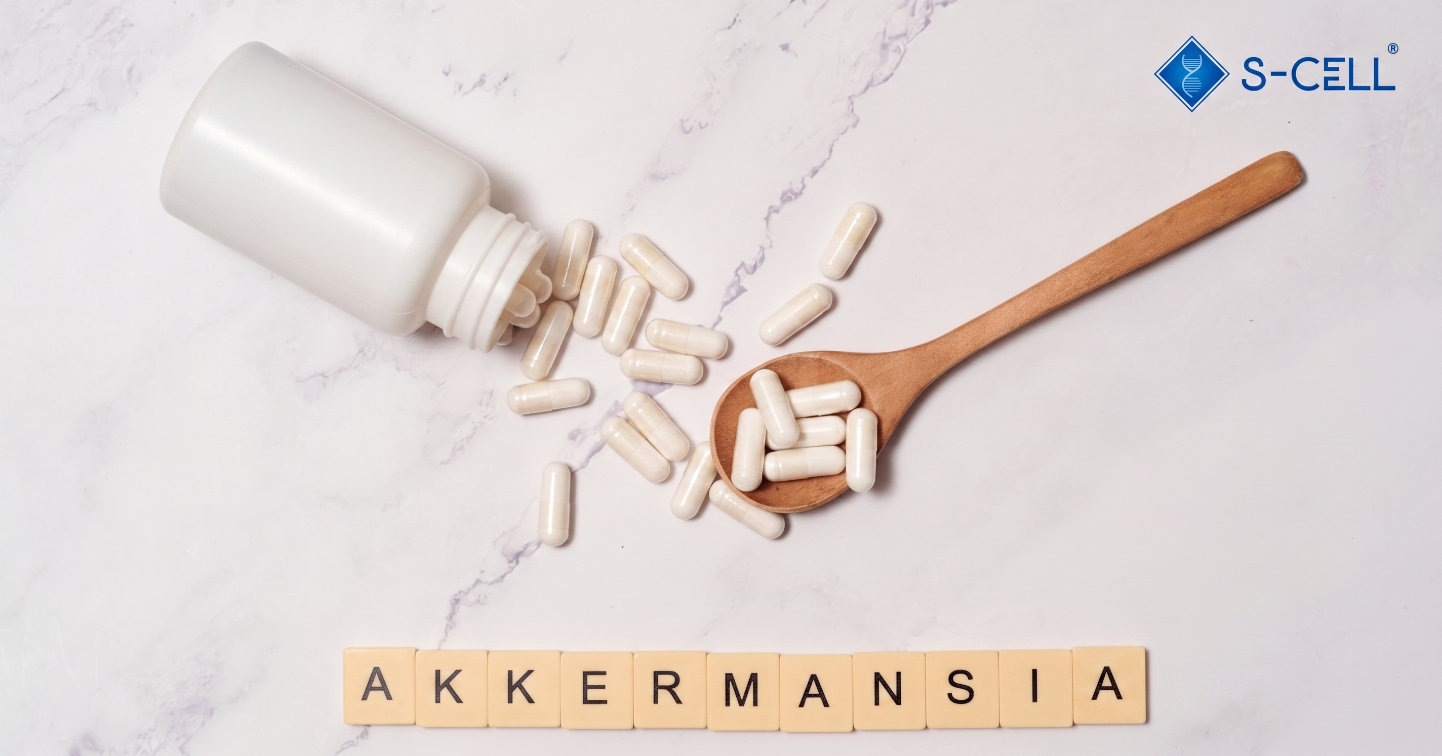 越「死」越強?解密腸道黑科技:巴氏殺菌型 AKK 菌的重生之旅