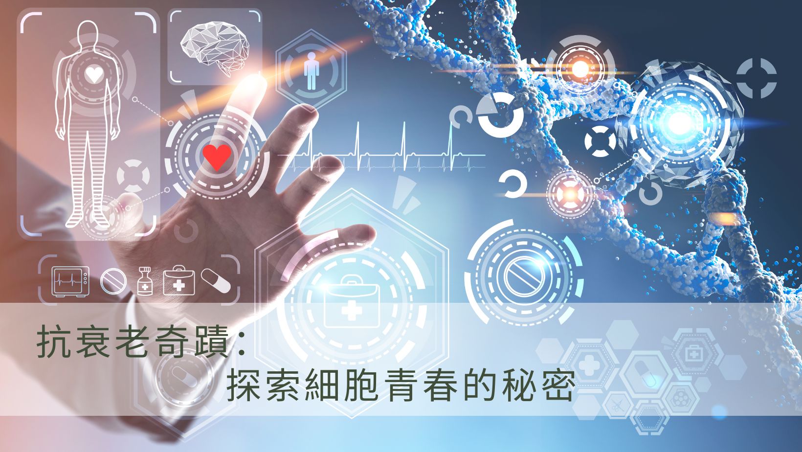 抗衰老奇蹟:探索細胞青春的秘密