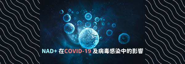 NAD+ 在COVID-19 及病毒感染中的影響