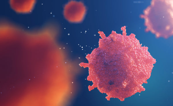 NMN 可以激活能預防癌症的免疫細胞