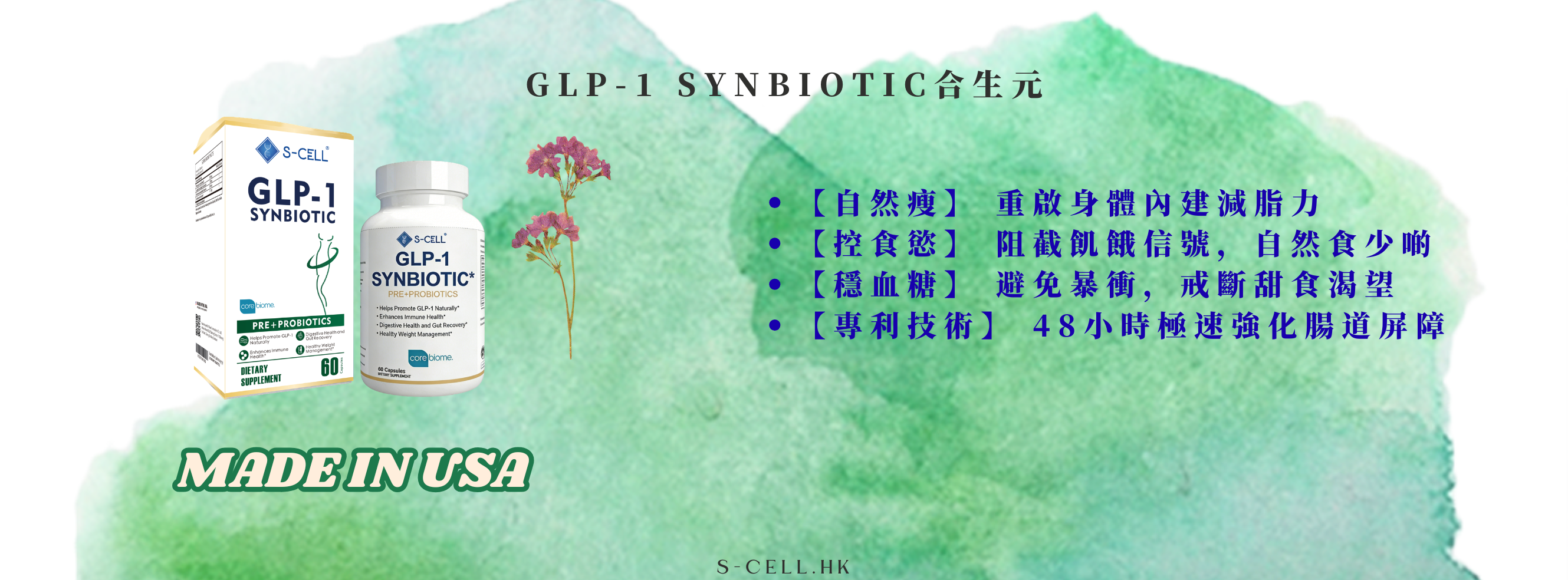 GLP-1 Promotion Image (851 x 315 像素).png__PID:41212974-3a13-4bc9-9ff8-8365e28f1fe0