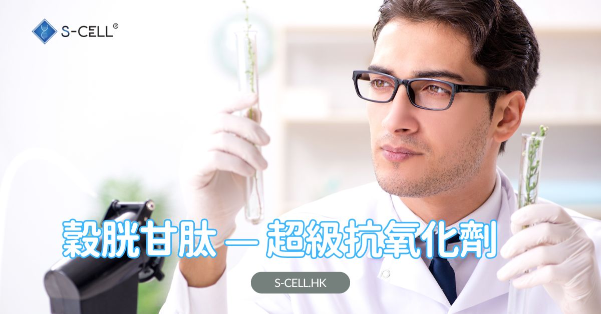 穀胱甘肽——超級抗氧化劑：益處與長壽作用