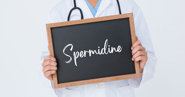 被稱為擁有神奇功效的成份 - 亞精胺 (Spermidine)