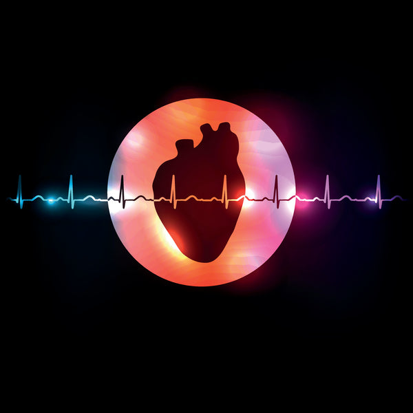 心血管健康│您體內的NAD水平如何影響心臟健康？ - VitaCell International Co. Ltd