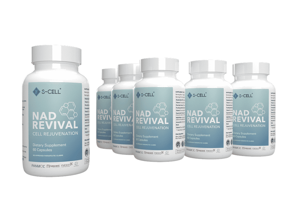 NAD REVIVAL 6-Month Package - S-Cell